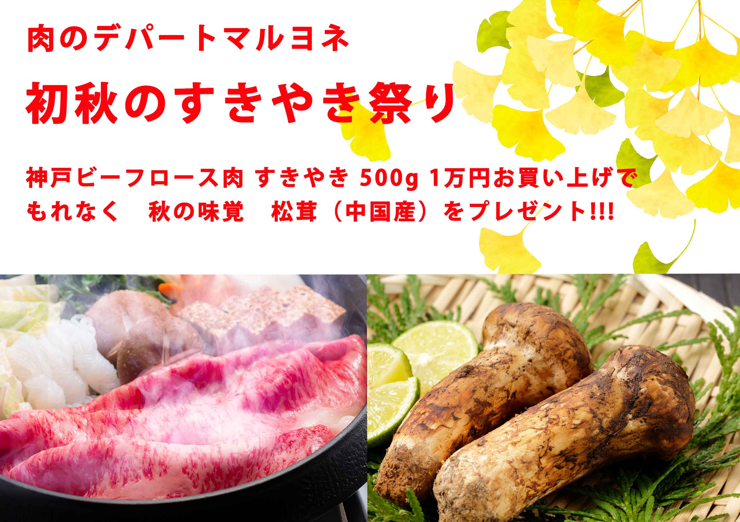 「初秋のすきやき祭り開催中」神戸ビーフロース肉　すきやき　500g　1万円お買い上げのお客様へもれなく　秋の味覚　松茸（中国産）をプレゼント!!!